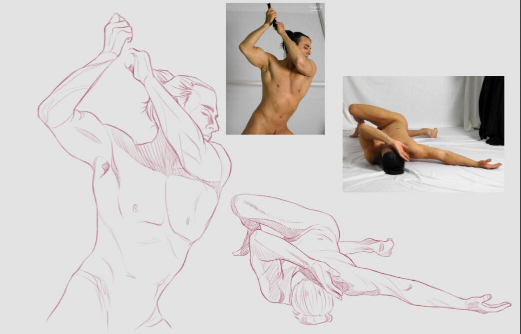 Figure Studies