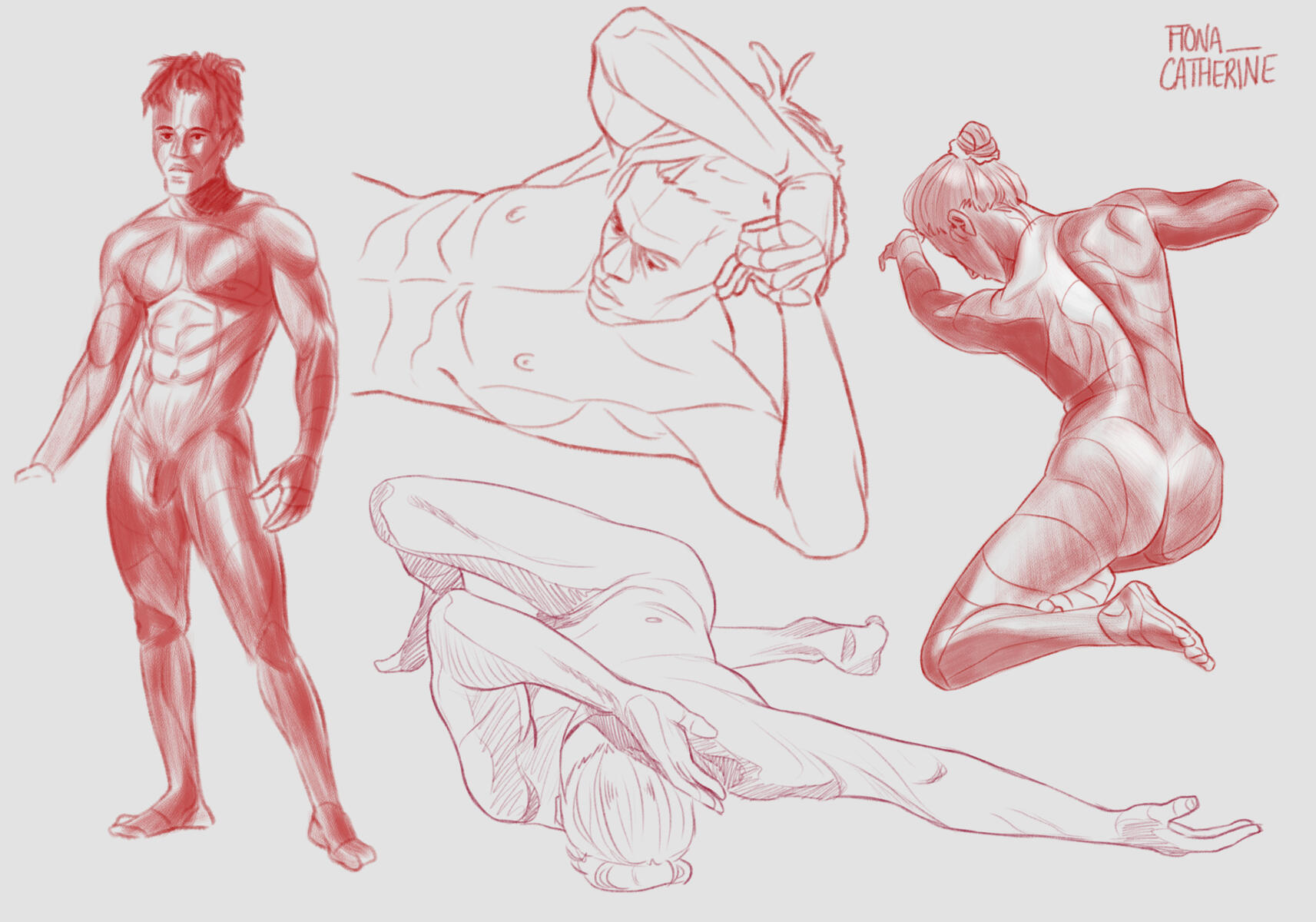 Figure Studies
